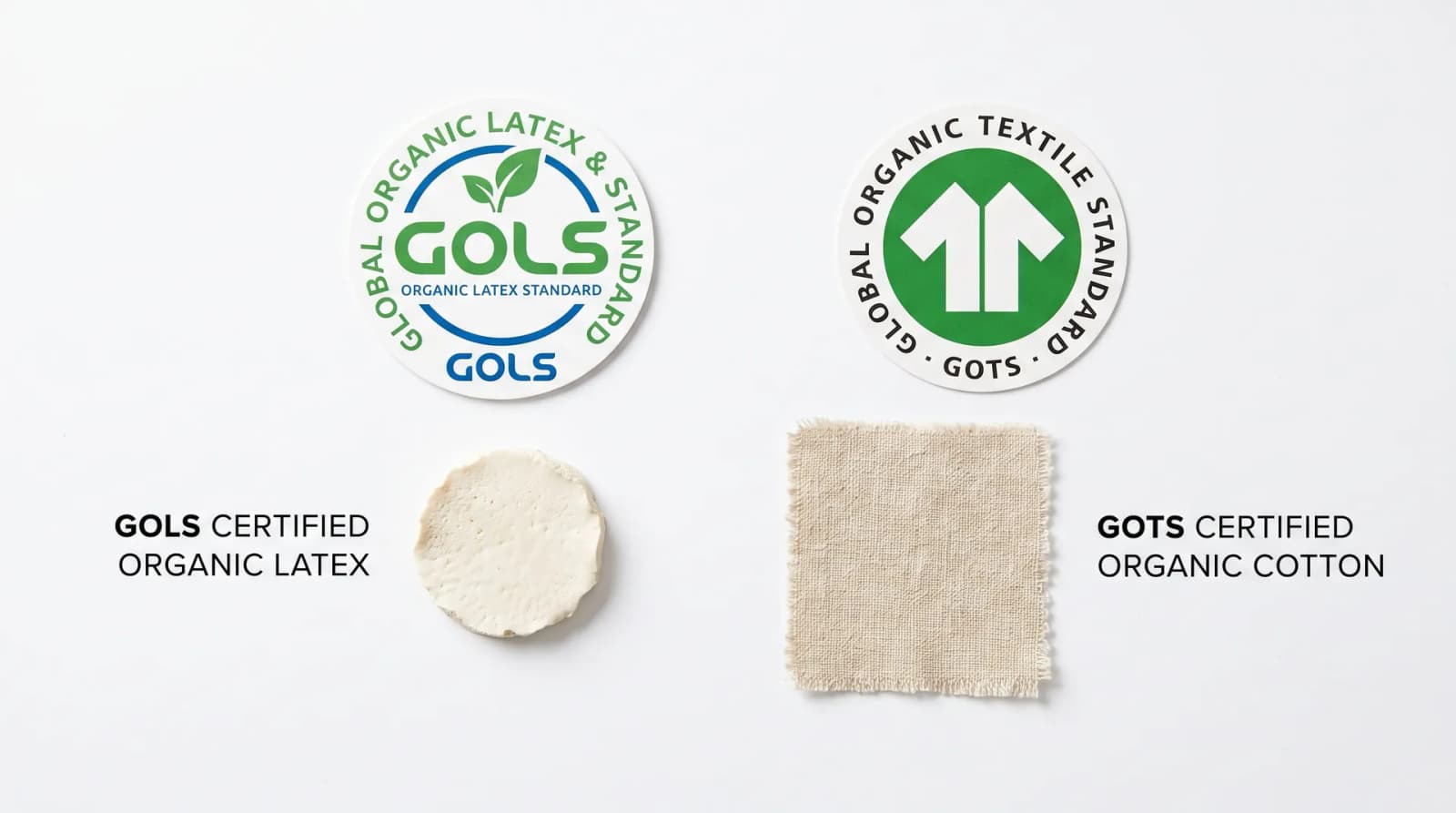 GOLS and GOTS certification logos beside a raw latex sample and an undyed cotton swatch