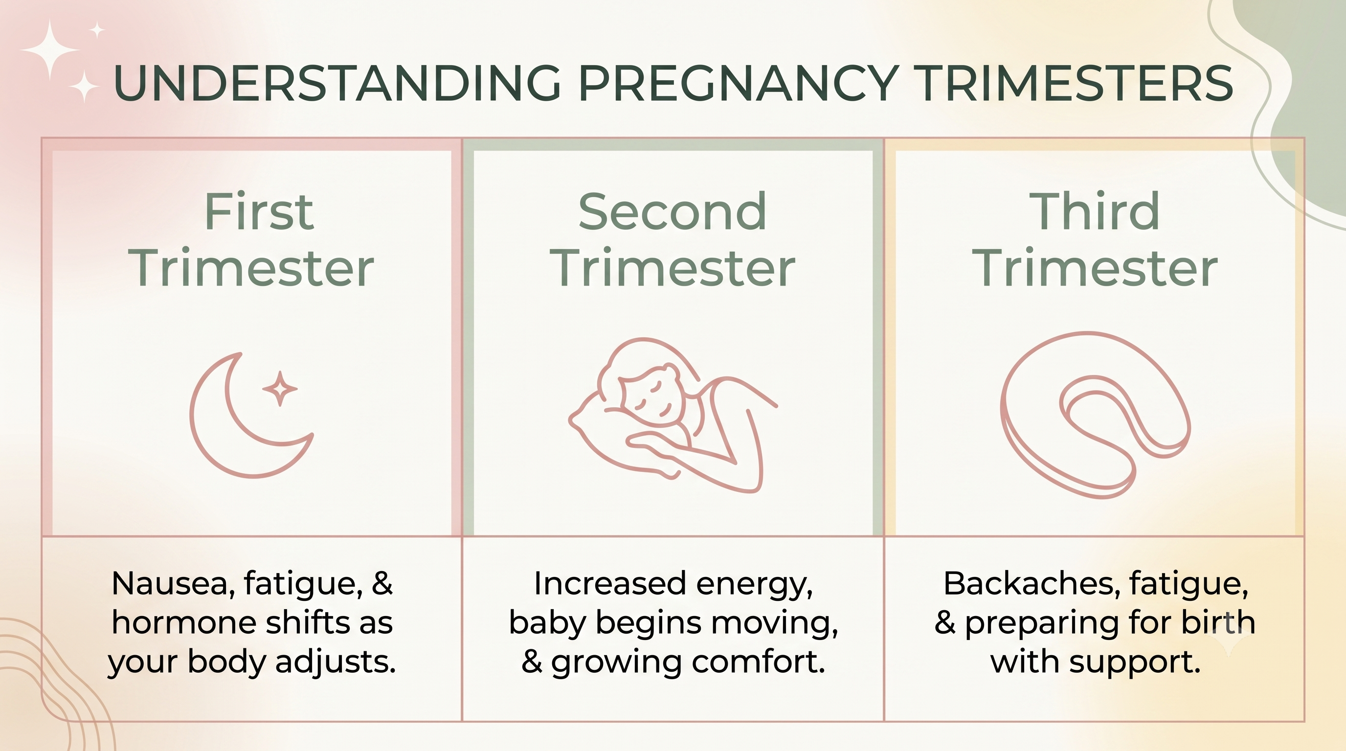 Trimester Guide Trimester Guide